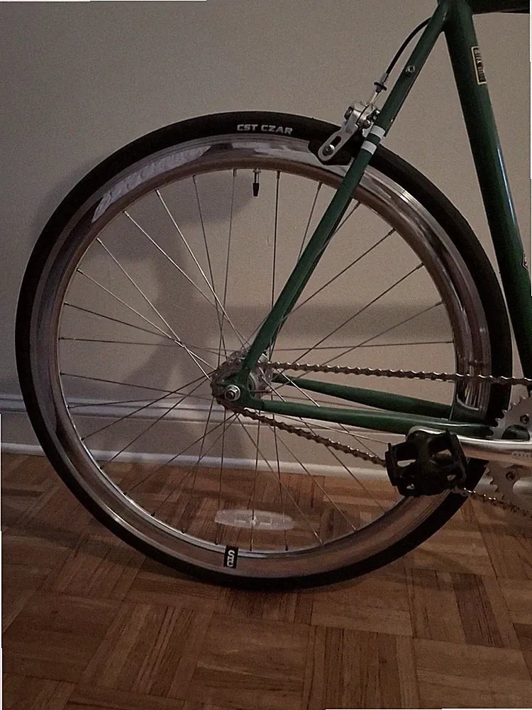 Eagles Fly Eagles Fly 700C 58 cm Single Speed/Fixed Gear Rim Brake Green