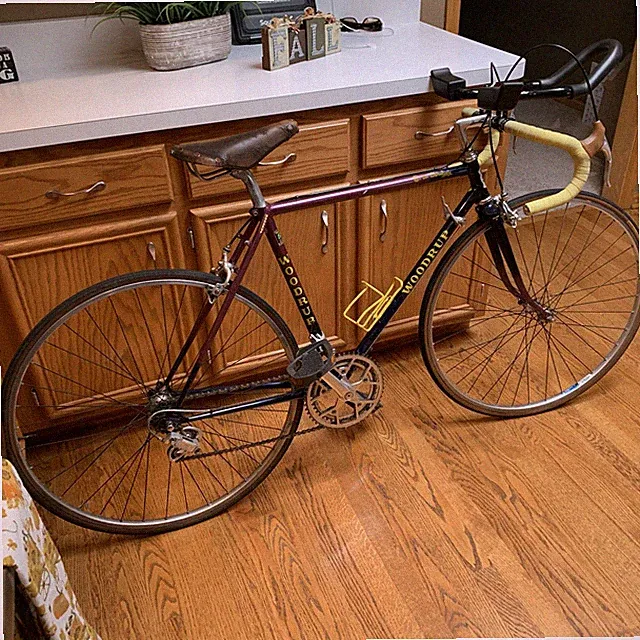 Vintage 80’s WOODRUP Touring Bicycle Bike Campagnolo Brooks Ambrosio Clean 1985